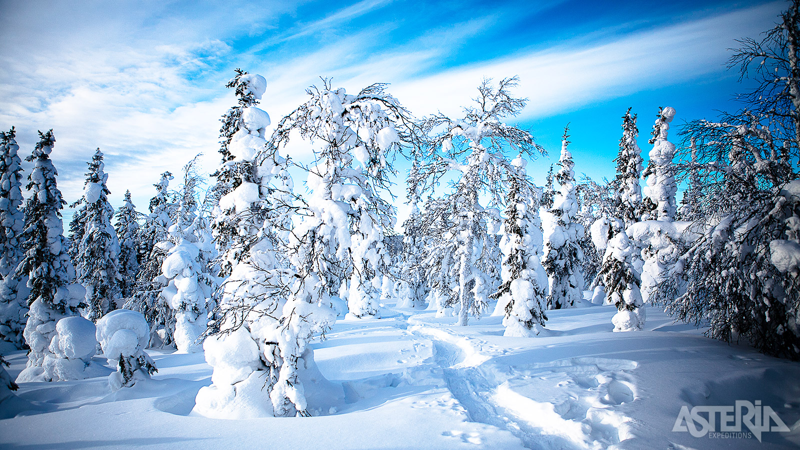 Geniet van prachtige winterlandschappen in het idyllische Lapland