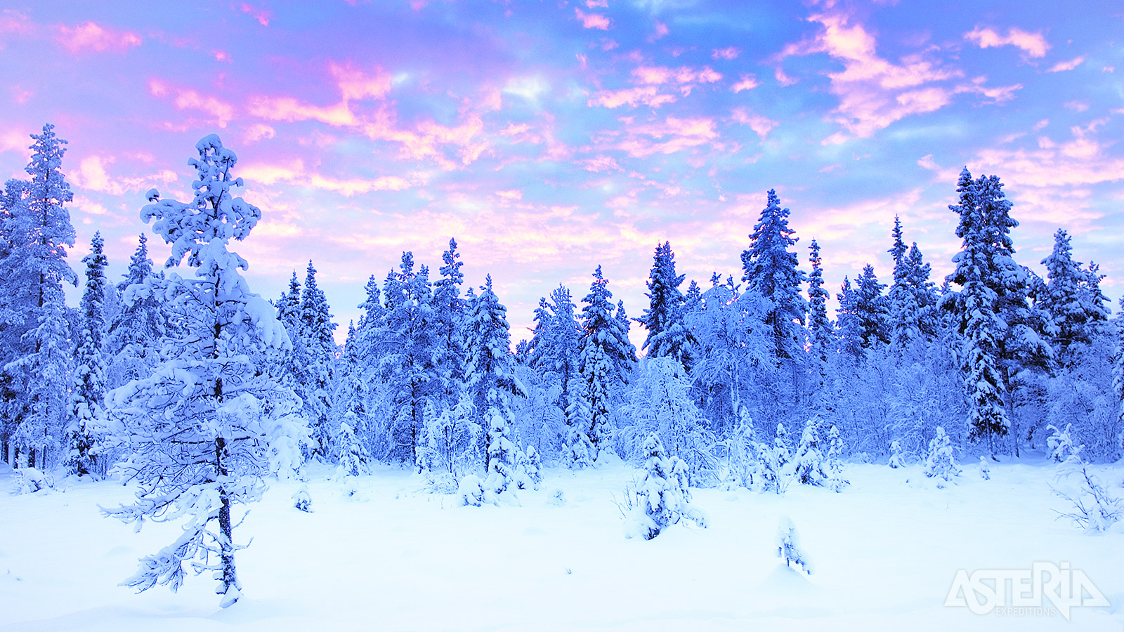 Trek de Finse natuur in door  besneeuwde bossen en over bevroren meren en geniet van magnifieke landschappen