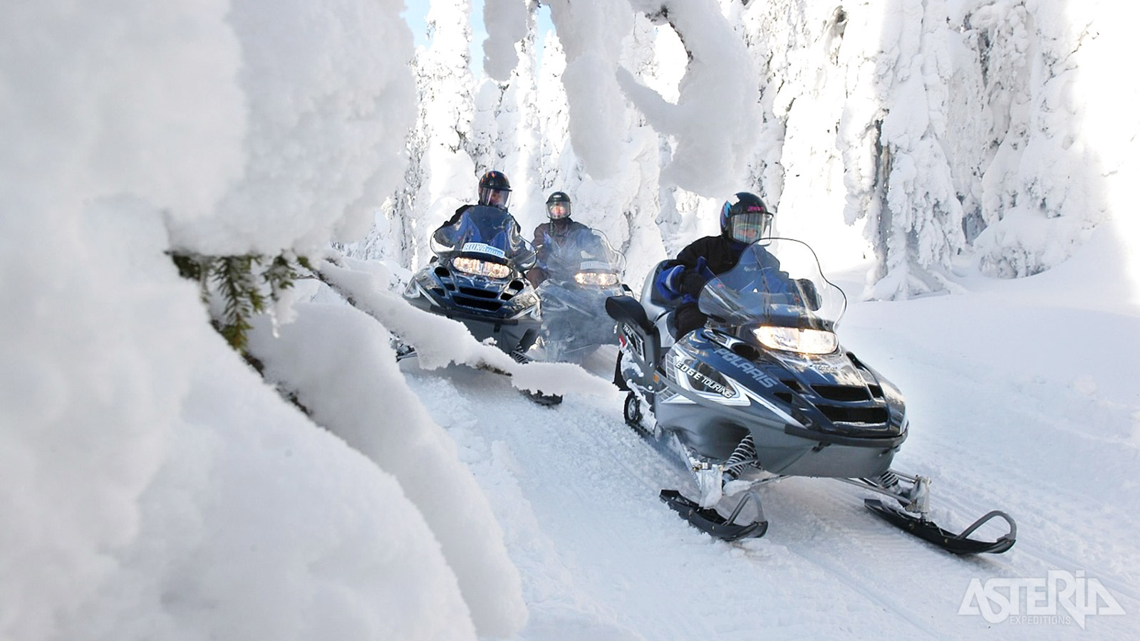 Met het Lapse transportmiddel bij uitstek rijd je langs sneeuwlandschappen, op bevroren meren en door dichte bossen