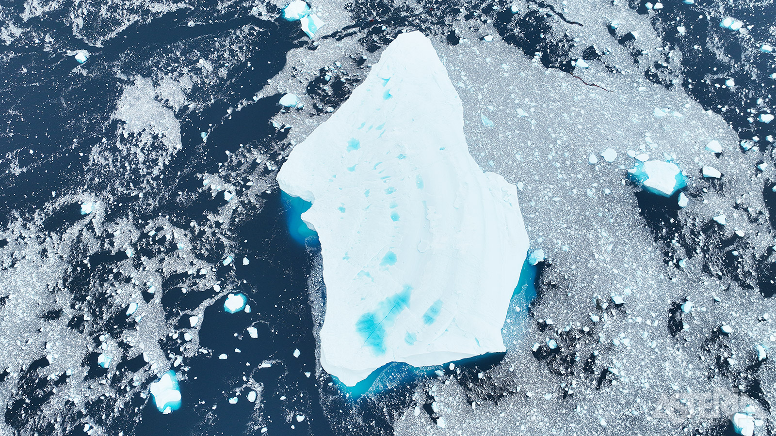Bewonder de majestueuze ijsbergen van Antarctica