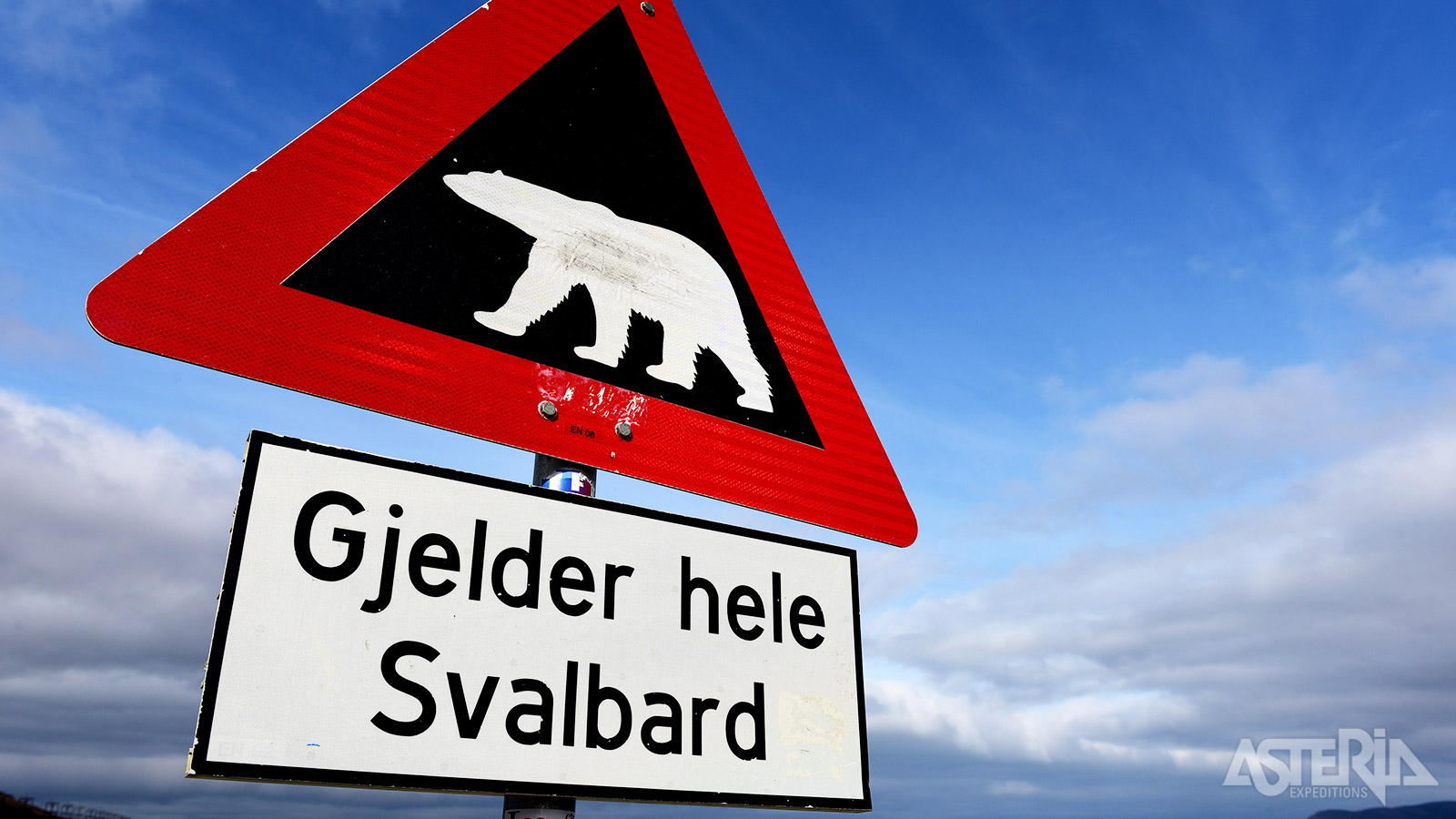 ’Gjelder hele Svalbard’ - Opgelet voor ijsberen op het volledige Spitsbergen