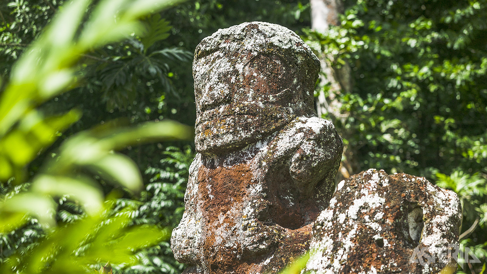 Volgens de Polynesische cultuur was Tiki de eerste man op aarde, geschapen door de oppergod