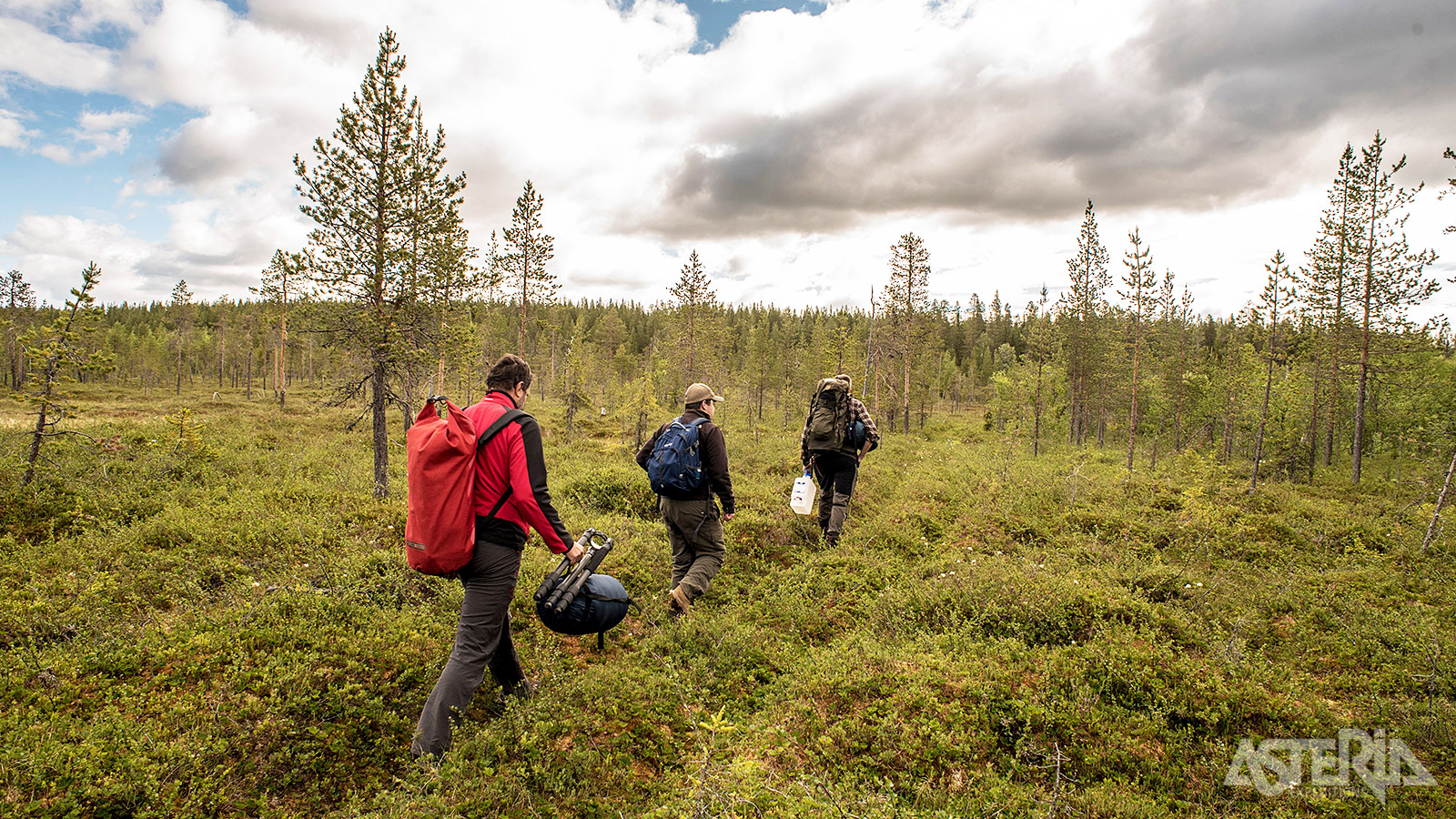 Dit programma draagt het label ‘Nature’s Best Sweden’, uitgereikt door de Zweedse Dienst voor Ecotoerisme