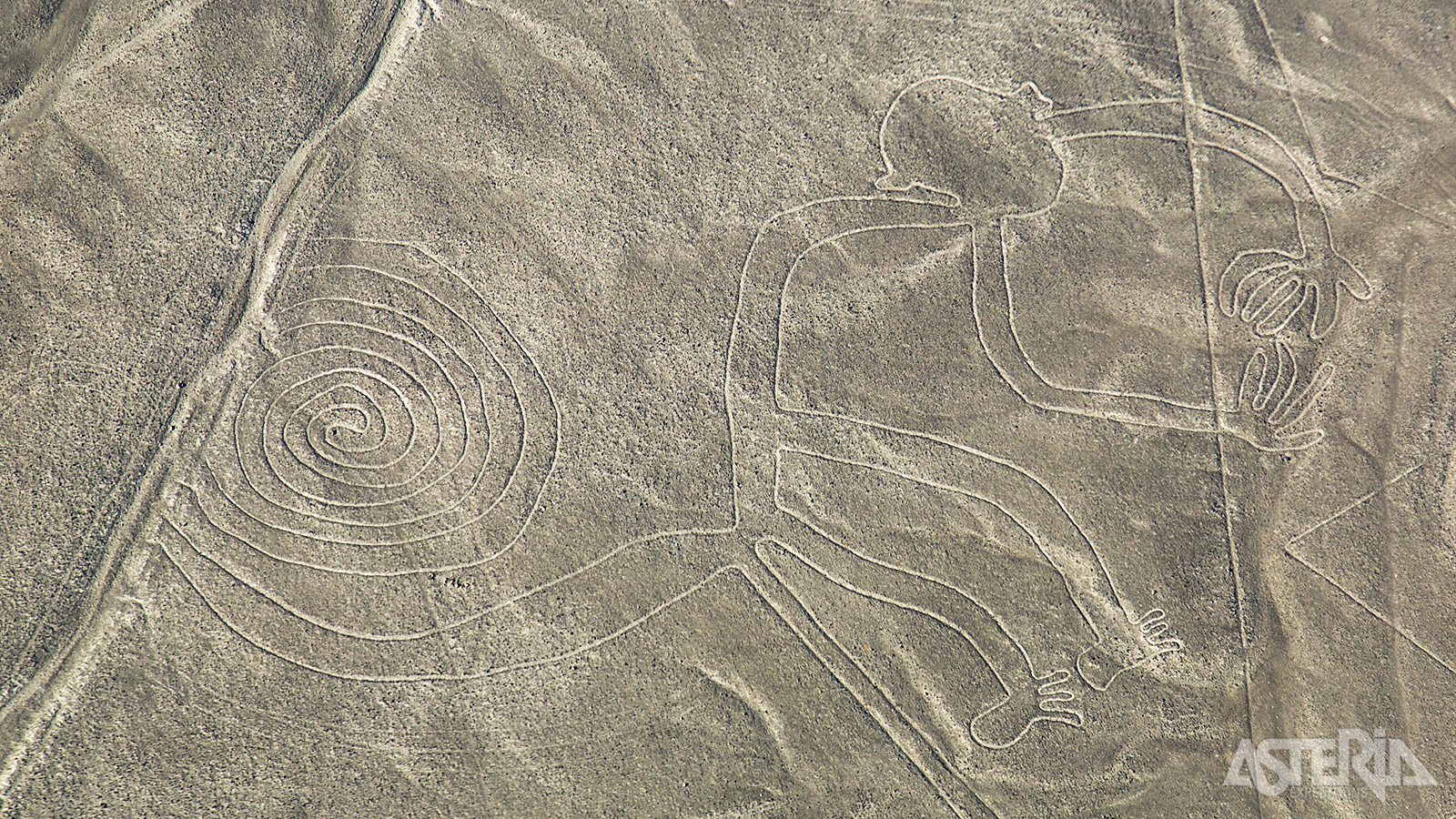 De Nazca-lijnen tonen afbeeldingen van dieren, planten en geometrische figuren waarvan sommige kilometers lang zijn