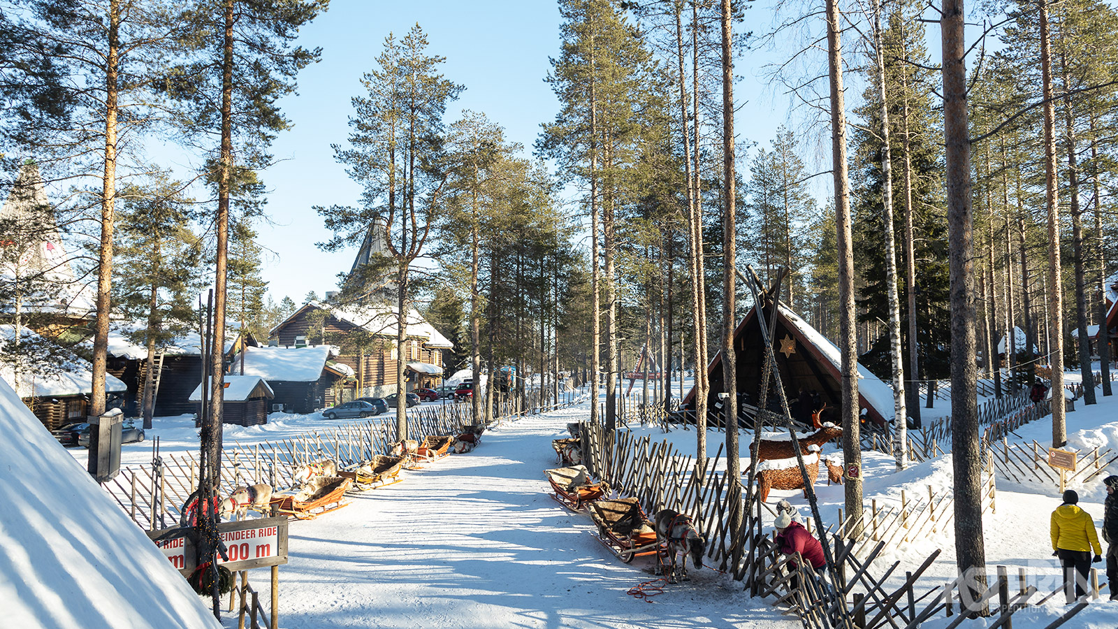 Op de rendierboerderij maak je uitgebreid kennis met deze typische Laplandbewoners