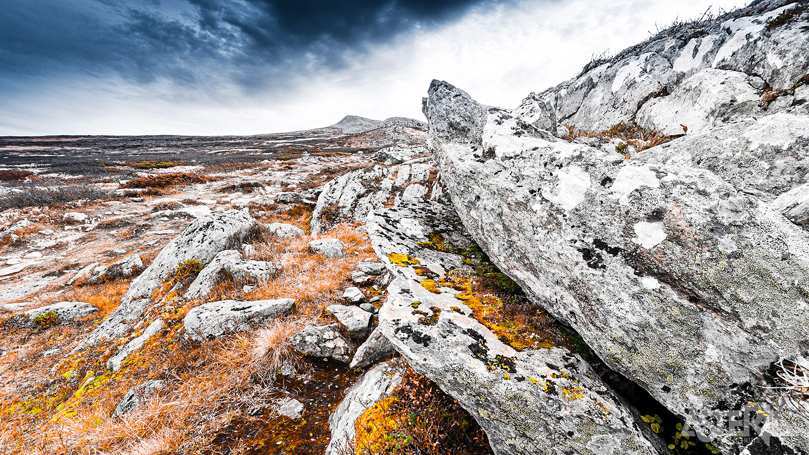 Rondane staat bekend voor zijn natuurlijke schoonheid en diverse landschappen waardoor het een must-visit is voor iedereen die de Noorse wildernis wil verkennen