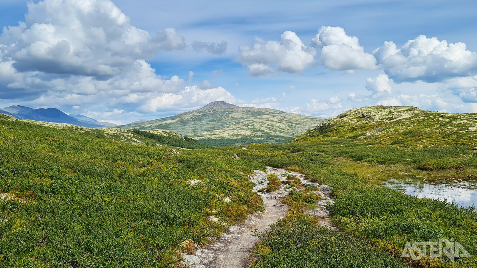 Met 10 toppen boven de 2.000 meter, talrijke mooie bergen en watervallen, is het Rondane Nationaal Park een waar wandelparadijs
